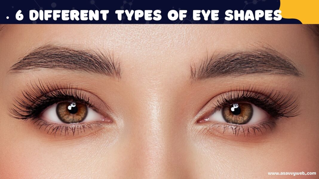 Different Types of Eye Shapes