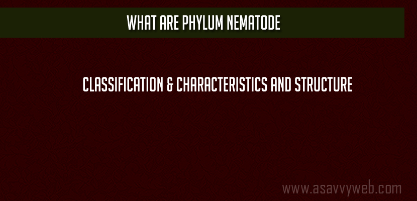 What are Phylum Nematode Classification & characteristics and Structure