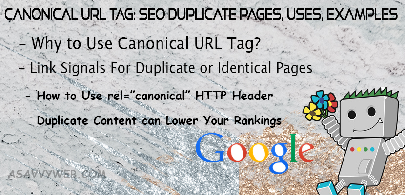 Canonical URL Tag- SEO Duplicate Pages, Uses, Examples, Tags