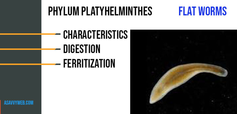 Platyhelminthes turbellaria bipalium. Paraziti in corp simptome