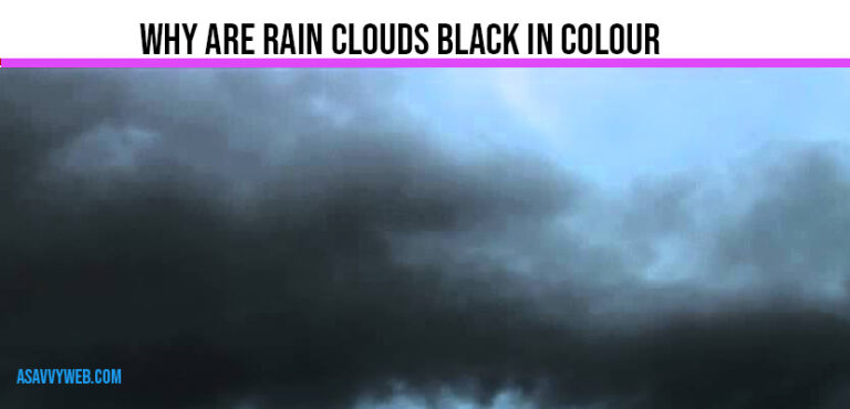 Why Are Rain Clouds Black In Colour And Dark A Savvy Web Why Are Rain Clouds Black In Colour And Dark A Savvy Web