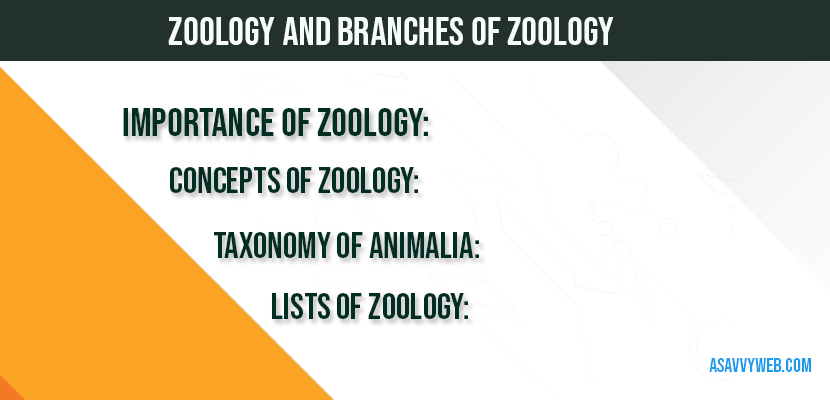 zoology-branches-of-zoology-animalia