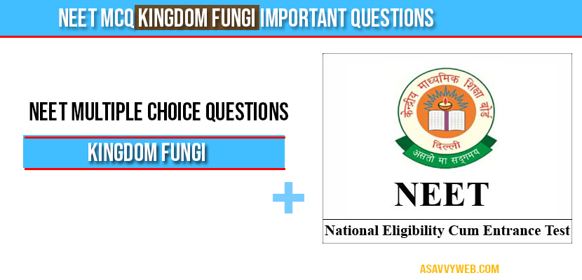 Neet MCQ Kingdom Fungi Important Questions