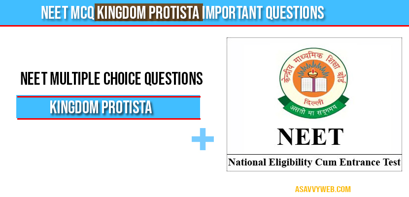Neet MCQ Kingdom Protista important questions