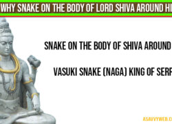 Why Snake On The Body Of Lord Shiva around his Neck