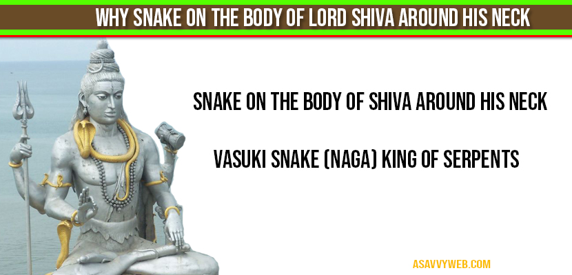 Why Snake On The Body Of Lord Shiva around his Neck