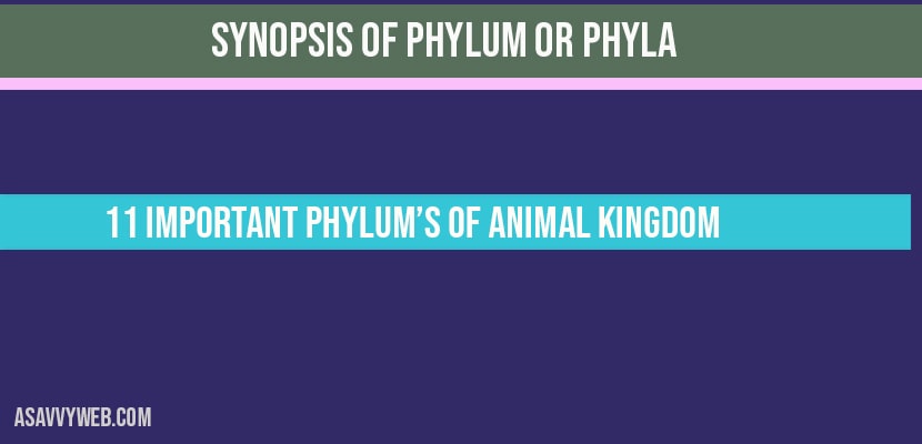 Overview of Phylum or Phyla: 11 Important phylum's of Animal Kingdom - A  Savvy Web