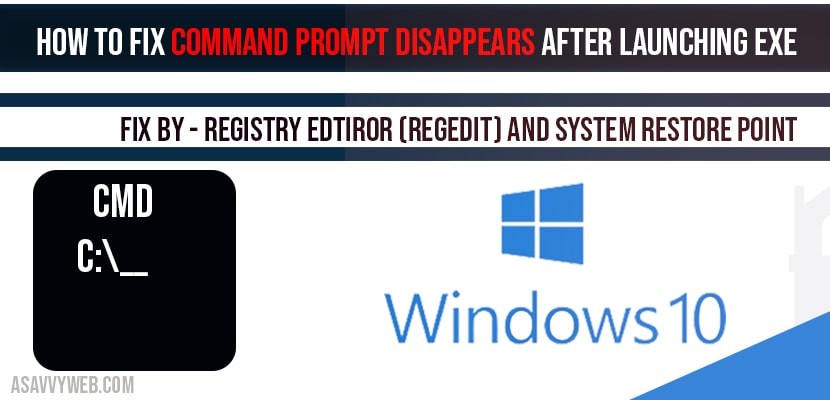How to fix command prompt disappears after launching exe