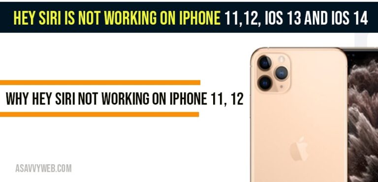 Hey SIRI is not working on iPhone 11,12, ios 13 and ios 14? - A Savvy Web