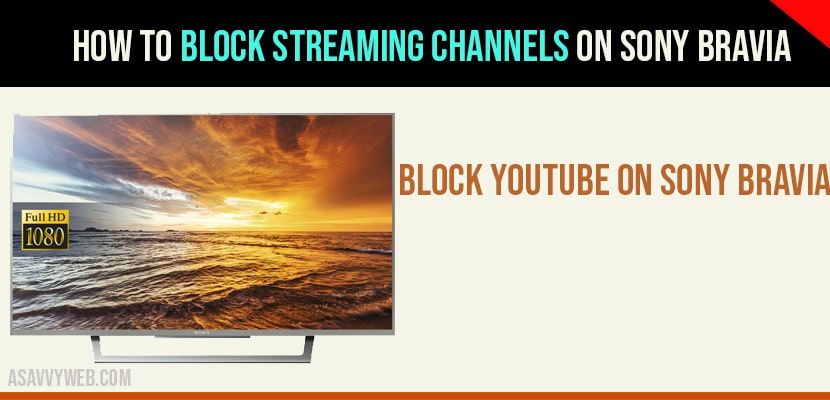 Block streaming channels on sony bravia