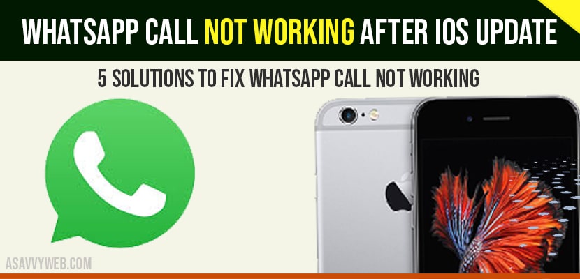 Whatsapp call not working after ios update