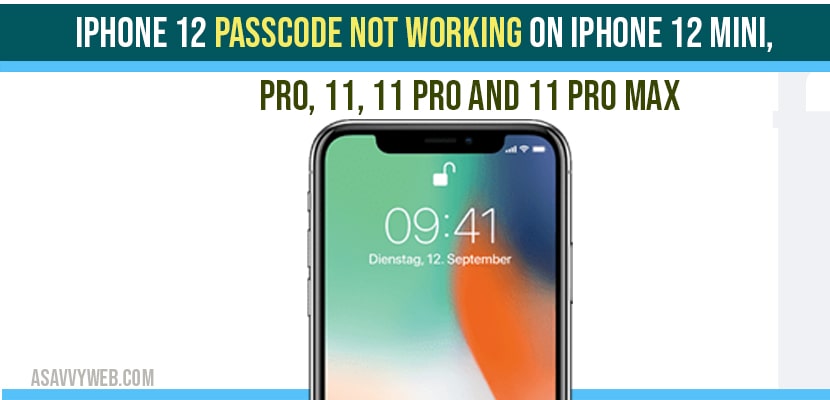 iPhone 12 Passcode not Working