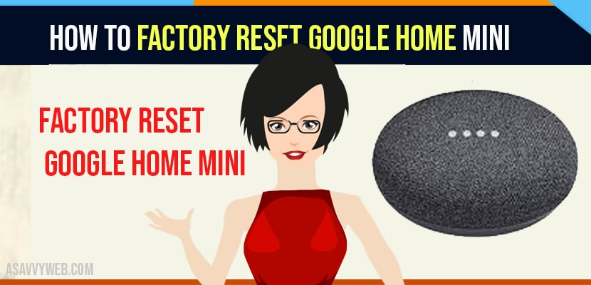 Factory Reset Google Home Mini