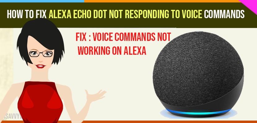 How to fix Alexa echo dot not responding to voice commands