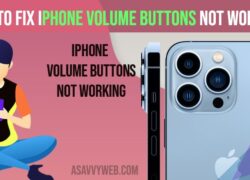 iPhone Volume Buttons not Working