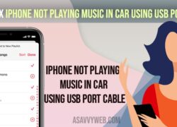fix iPhone Not Playing music in car using USB Port Cable