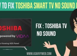 Fix Toshiba Smart TV No Sound