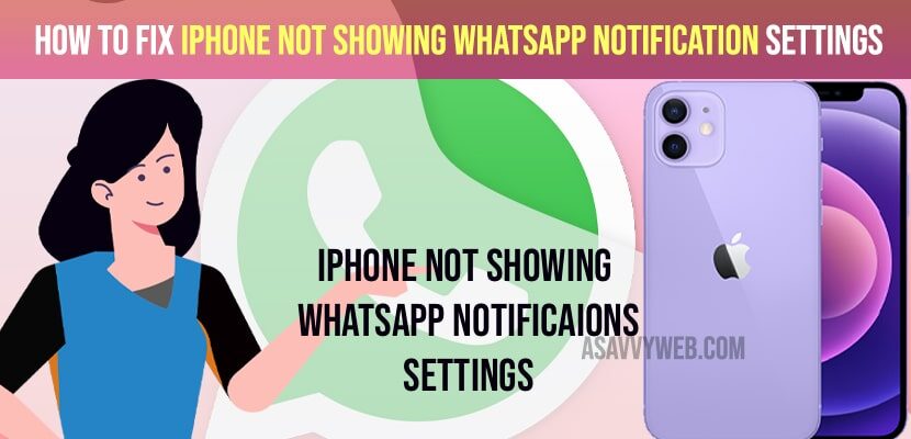 iPhone not Showing Whatsapp Notification Settings