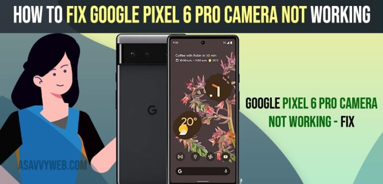 How to Fix Google Pixel 6 Pro Camera Not Working - A Savvy Web