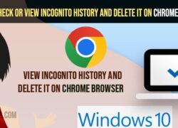 Check or View Incognito History and Delete it on Chrome Browser
