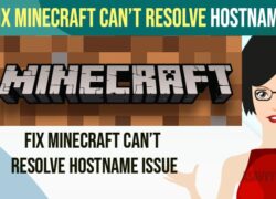 Fix Minecraft Can’t Resolve Hostname Issue