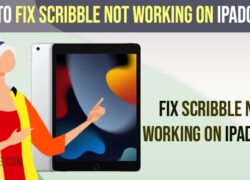 Fix Scribble Not Working on iPadOS 15