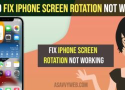 Fix iPhone Screen Rotation Not Working