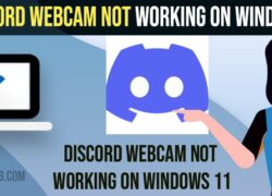 Discord Webcam Not Working On Windows 11