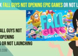 Fix Fall Guys Not Opening Epic games or Not Launching