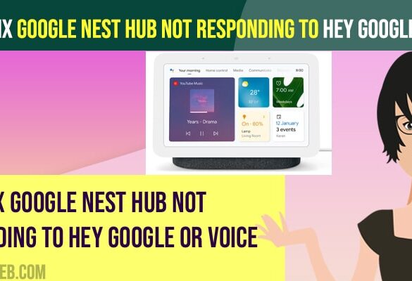 Fix Google Nest Hub Not Responding To Hey Google or Voice