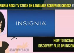 Fix Insignia Roku TV Stuck on Language Screen or Choose your Language