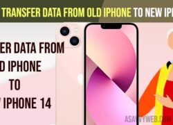 Transfer Data From Old iPhone to New iPhone 14
