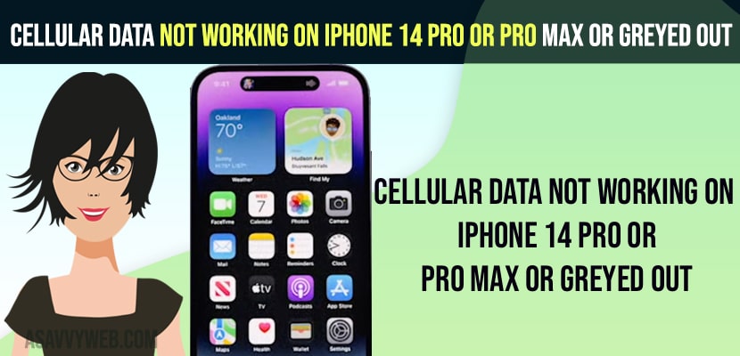 Cellular Data Not Working on iPhone 14 Pro or Pro Max or Greyed out