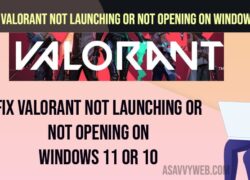 Fix Valorant Not Launching or Not Opening on windows 11 or 10