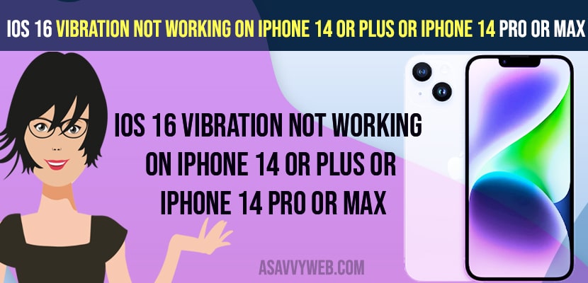 iOS 16 Vibration Not Working on iPhone 14 or Plus or iPhone 14 Pro or Max