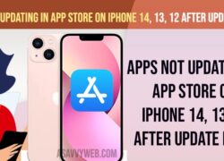 Apps Not Updating in App Store on iPhone 14, 13, 12 after update iOS 16