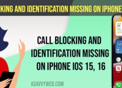 Call Blocking and Identification Missing on iPhone iOS 15, 16