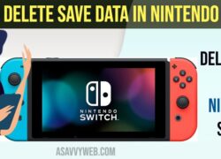 Delete Save Data in Nintendo Switch