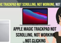 Apple Magic Trackpad Not Scrolling, Not Working, Not Clicking