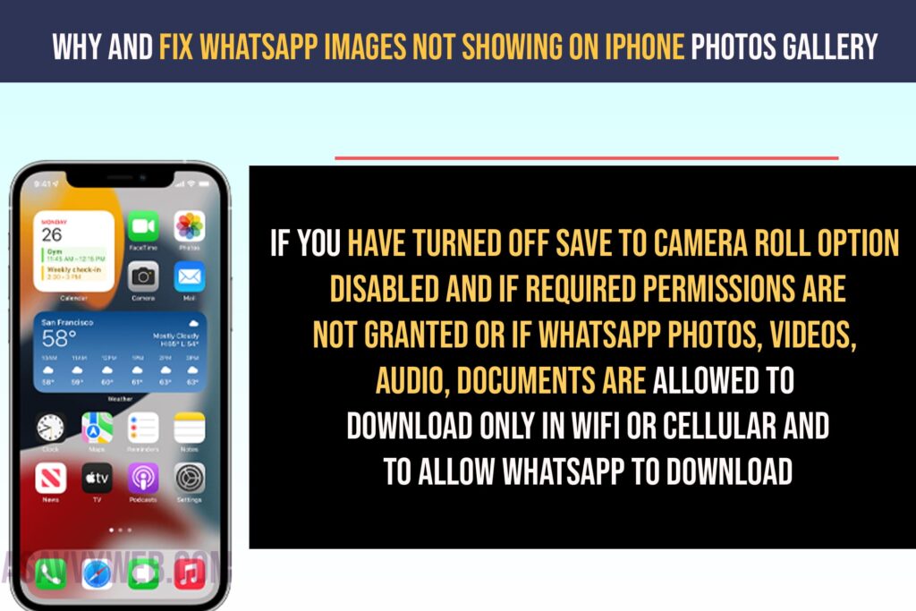 Fix WhatsApp images Not Showing on iPhone Photos Gallery