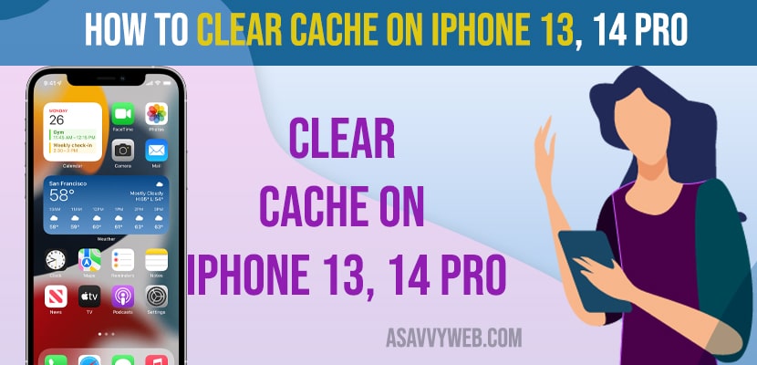 clear Cache on iPhone 13, 14 Pro