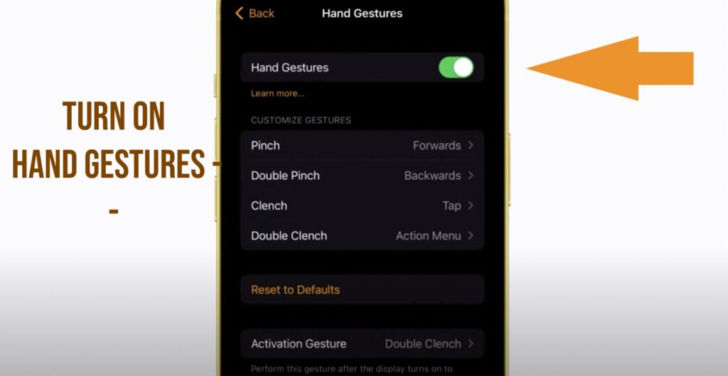 turn on hand gestures on apple watch - on iphone watch app