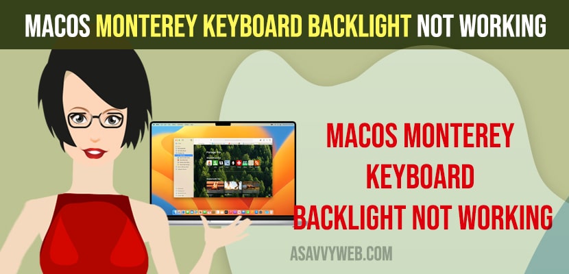 MacOS Monterey Keyboard Backlight Not Working