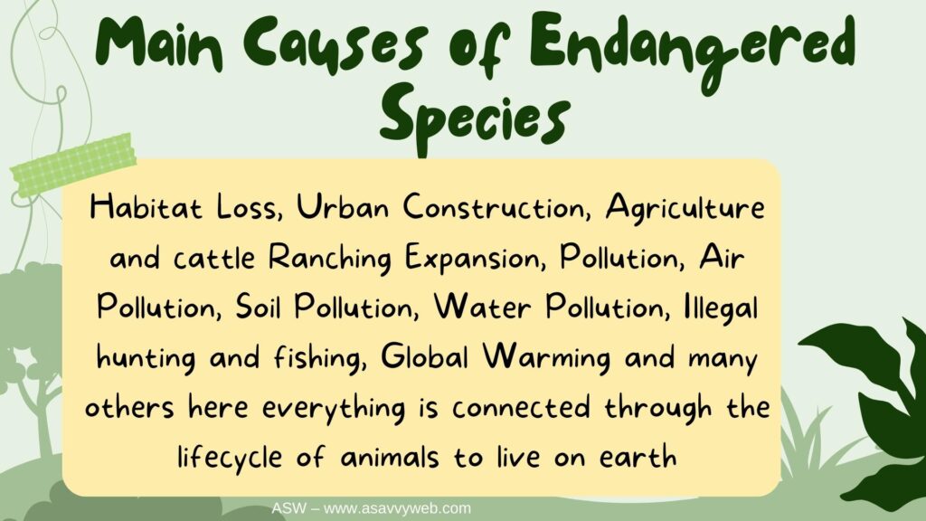 Main causes of endangered species