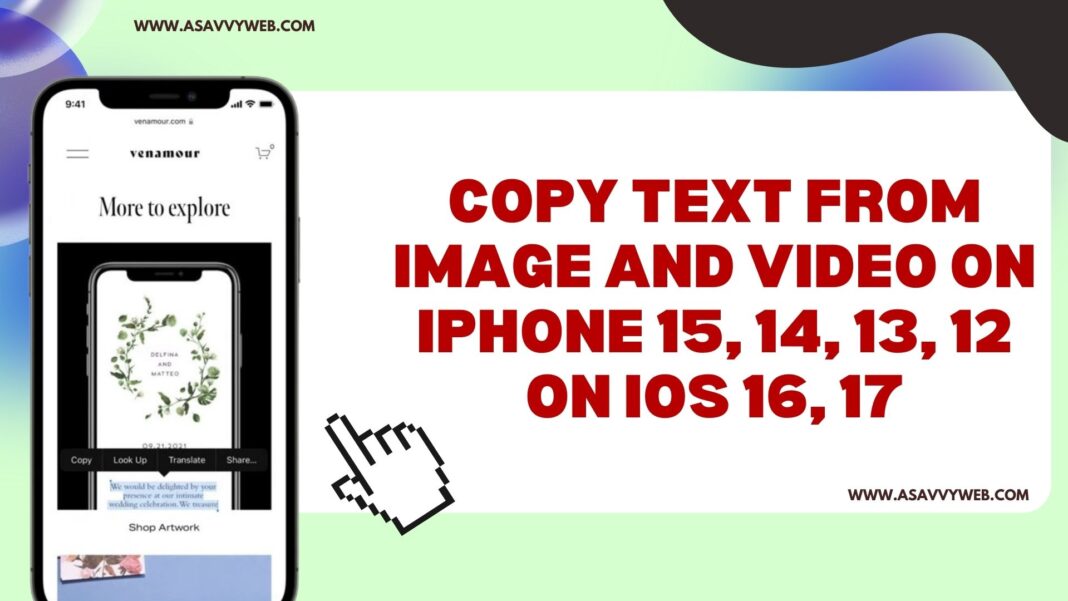 Copy Text From image and Video on iPhone 15, 14, 13, 12 on iOS 16, 17