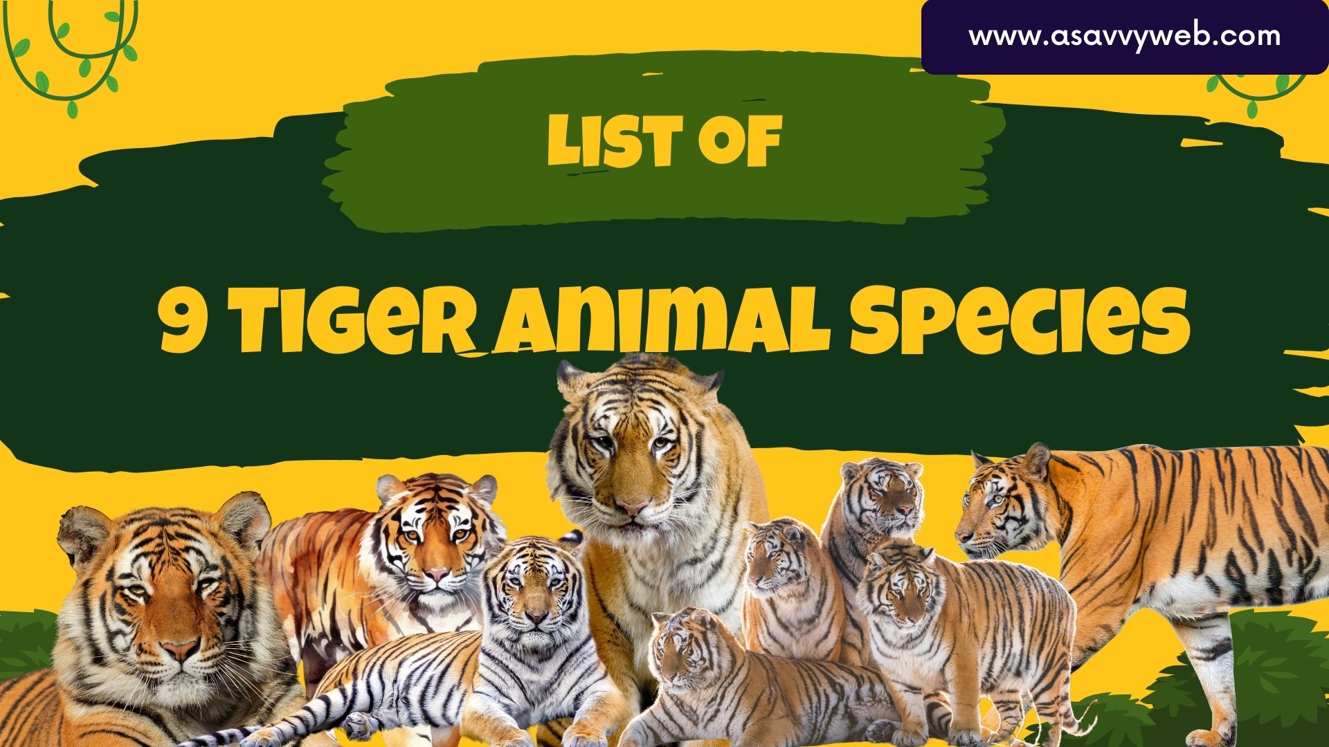 9 List of Tiger Animal Species and Subspecies