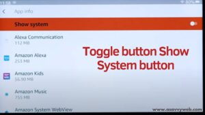Amazon Fire Tablet: Camera Not Working? Permissions Missing - A Savvy Web